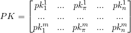 \[PK=\begin{bmatrix}pk_1^1 & ... & pk_{\pi}^1 & ... & pk_n^1 \\... & ... & ... & ... & ...\\pk_1^m & ... & pk_{\pi}^m & ... & pk_n^m\\\end{bmatrix}\]